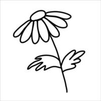 einfaches süßes Gänseblümchen im Doodle-Stil. Linie Kunst-Vektor-Illustration vektor