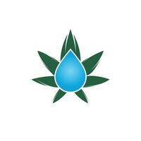 Cannabis-Blatt-Wassertropfen-Logo-Design-Ikone. Cannabisöl-Vektor-Logo-Konzept. vektor