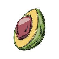 Avocado-Symbol isoliert vektor