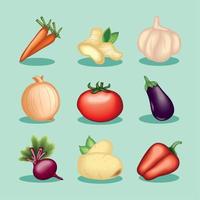 ikoner, realistisk grönsaker vektor