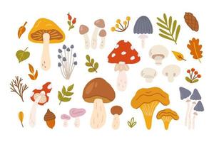 Reihe verschiedener Pilze mit Beeren und Blättern von Bäumen. vektorflache illustration im handgezeichneten stil auf weißem hintergrund
