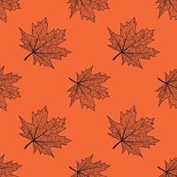 sömlös mönster med lönn löv. vektor isolerat bakgrund med de konturer av fallen löv. textur för textilier eller omslag papper. höst mönster.