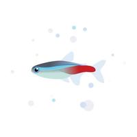 Neon-Tetra-Vektordesign, Tetra-Fisch vektor