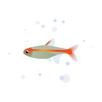 Glühlicht-Tetra-Vektordesign, Tetra-Fisch-Aquarienfische vektor