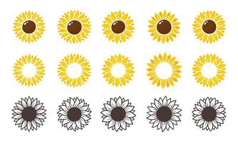 gelbe sonnenblumen blühen im frühjahr. zum Verzieren von Willkommensschildern vektor