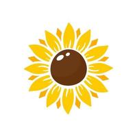 gelbe sonnenblumen blühen im frühjahr. zum Verzieren von Willkommensschildern vektor