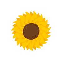 gelbe sonnenblumen blühen im frühjahr. zum Verzieren von Willkommensschildern vektor