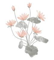 aquarell trendige pflanze. vektorillustration für web, app und druck. elegante feminine form floristische isolierte lotusblumen. Garten, botanisches, minimalistisches Blumenelement. vektor