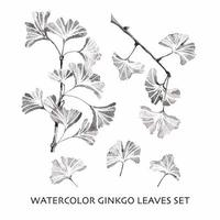 Satz Ginkgo-Aquarellblätter, handgezeichnete Vektorelemente. vektor