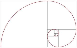 Fibonacci-Spirale. Goldener Schnitt vektor