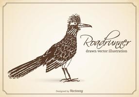 Free vector gezeichnet roadrunner illustration