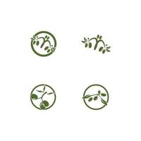 oliv logotyp mall vektor ikon illustration design