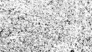 svart och vit ångest bakgrund. grunge täcka över textur. damm spannmål textur på vit bakgrund. abstrakt mönster och former. gammal bärs årgång mönster. svartvit bakgrund. grus textur. vektor