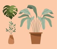 två krukväxter och blad vektor