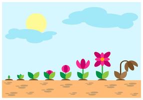 Gratis Grow Up Evolution Vector