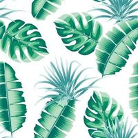 exotisk tapet illustration sömlös mönster med grön enfärgad tropisk banan monstera löv och växt lövverk på vit bakgrund. modern skriva ut textur. sommar design. interiör dekor vektor