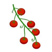 körsbär tomat. röd vegetabiliska på gren. platt tecknad serie isolerat på vit bakgrund. skörd och vegetarian mat vektor