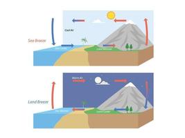 Diagramm, das die Zirkulation der See- und Landbrise zeigt vektor