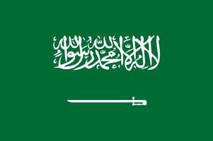 saudi-arabien handgezeichnete flagge, saudi-riyal handgezeichnet vektor