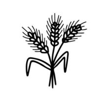 Garbe Weizenohren doodle Vektorillustration vektor