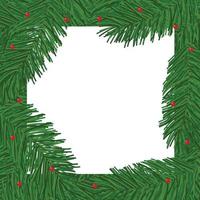 ram bakgrund med gran gren och röd bär för jul kort. ram med plats för text. vektor illustration