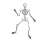 halloween skrämmande ben skelett vektor