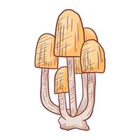 vektorisolierte gekritzelillustration eines bündels wilder toadstool-pilze. vektor