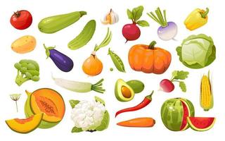 grönsaker uppsättning. naturlig organisk näring. friska mat. vektor illustration isolerat på en vit bakgrund