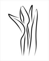 linje teckning av blomma vektor