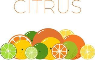 citrus- frukt packa och skivad halv av citrus. vitamin färsk frukt utrustning. platt isolerat vektor på vit bakgrund