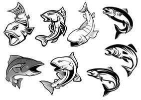 tecknad serie laxar fisk uppsättning vektor