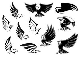 Adler für Logo, Tätowierung oder heraldisches Design vektor