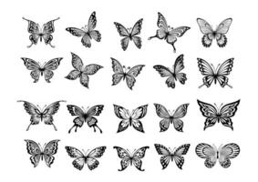 uppsättning av tjugo fjärilar vektor