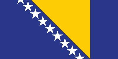 de nationell flagga av bosnien och herzegovina med officiell Färg och korrekt andel vektor illustration