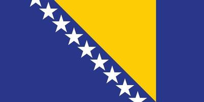 die nationalflagge von bosnien und herzegowina mit offizieller farbe und korrekter proportionsvektorillustration vektor