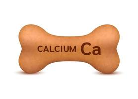 ben formad torr mat för katter och hundar med kalcium diet- tillägg ben hund artrit artros. på en vit bakgrund vektor 3d. kan använda sig av för reklam sällskapsdjur mat.