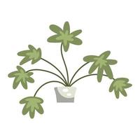 Illustration einer Zimmerpflanze in einem Blumentopf vektor