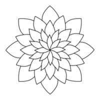 florale, handgezeichnete Aster-Mandala-Blumen im Doodle-Stil isoliert auf weißem Hintergrund. malseite für erwachsene und kinder, dekorieren kinderspielzimmer oder grußkarte. Chrysantheme, Lotus. vektor