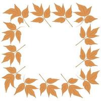 Zur Dekoration kann ein Muster aus Herbstelementen verwendet werden vektor