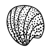 Strichzeichnungen Skizze Muscheln. Vektor-Illustration vom Hintergrund isoliert. Dekorationssymbol für Gesundheit Kalzium. verschiedene Schalenformen. Meer-Ozean-Symbol. Sand- und Stranddesign. vektor