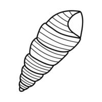 Strichzeichnungen Skizze Muscheln. Vektor-Illustration vom Hintergrund isoliert. Dekorationssymbol für Gesundheit Kalzium. verschiedene Schalenformen. Meer-Ozean-Symbol. Sand- und Stranddesign. vektor