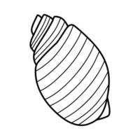 Strichzeichnungen Skizze Muscheln. Vektor-Illustration vom Hintergrund isoliert. Dekorationssymbol für Gesundheit Kalzium. verschiedene Schalenformen. Meer-Ozean-Symbol. Sand- und Stranddesign. vektor