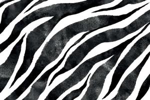 handrawn zebra skriva ut textur vektor