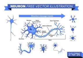 Neuron Gratis Vektor Illustration