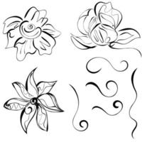 blommor uppsättning. bläck teckning av blommor för en logotyp, ikoner med ytterligare element, rader, virvlar runt. vektor