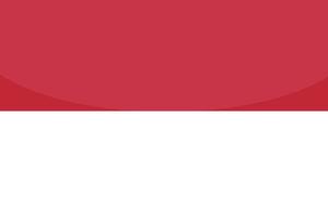 indonesische flagge hand gezeichnet. indonesische rupiah hand gezeichnet vektor