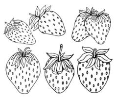 handgezeichnete erdbeere mit blättern und blumen gesetzt. Umriss schwarz-weiß-Vektor-Illustration. Gekritzelpflanzen und süße Beeren isoliert auf weißem Hintergrund vektor
