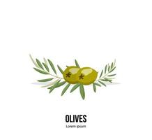 Oliven mit Ölzweig auf dem weißen Hintergrund isoliert. Vektor-Illustration. Druck- oder Vorlagendesign vektor
