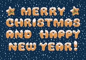 Typografie-Weihnachtsgrußkarte im Cartoon-Stil mit Textform von hausgemachten Keksen. Weihnachtsdoodle-Buchstaben für Banner, Einladung, Poster, Etikett, Postkarte. vektor