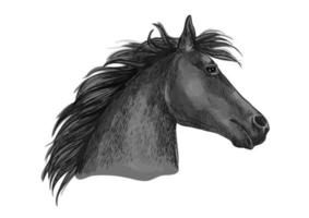 svart kapplöpningshäst skiss med häst huvud vektor